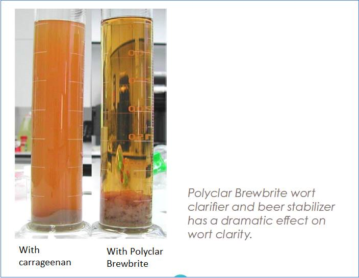 Perbandingan kejernihan wort: dengan carrageenan versus dengan Polyclar Brewbrite